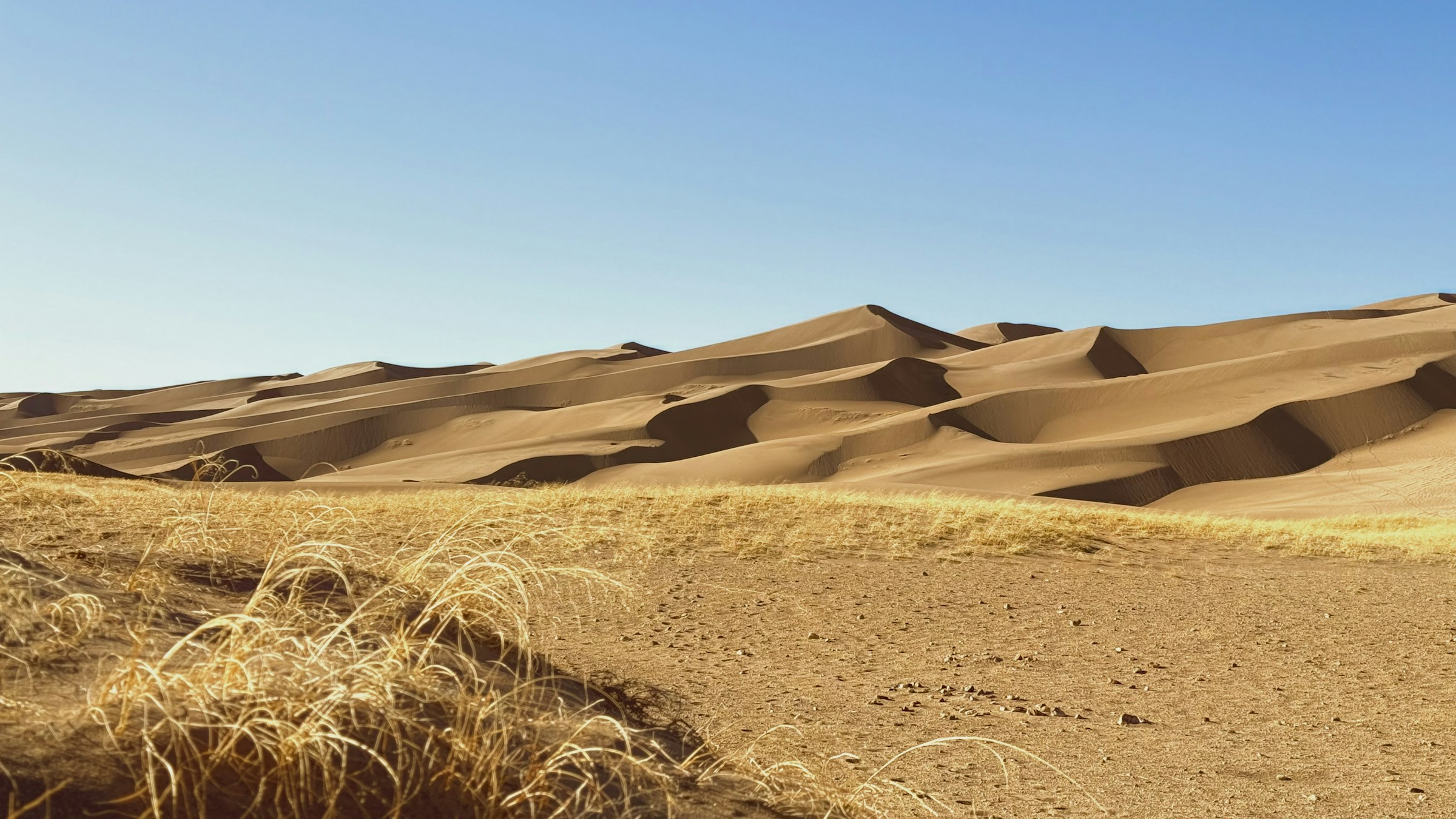 Dunas doradas bajo un cielo azul